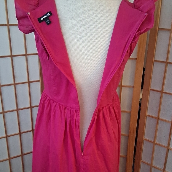 Express Pink Ruffled  Dress - Picture 10 of 16